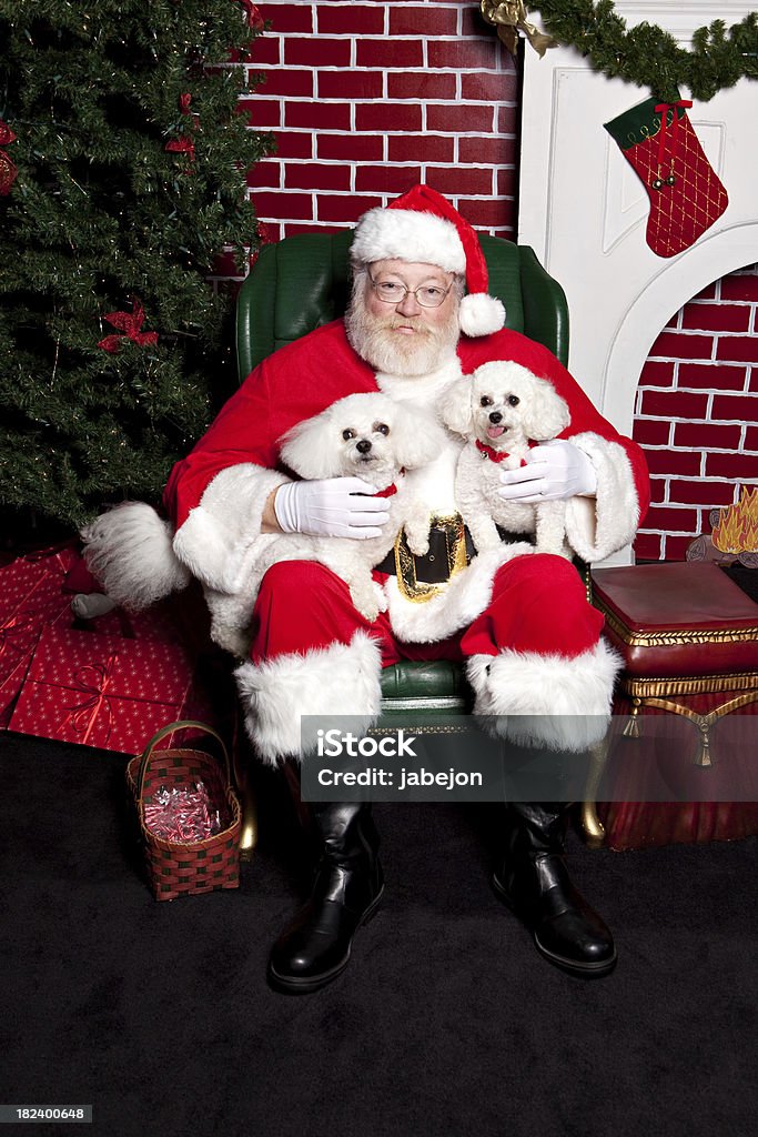 Santa con cane - Foto stock royalty-free di Babbo Natale