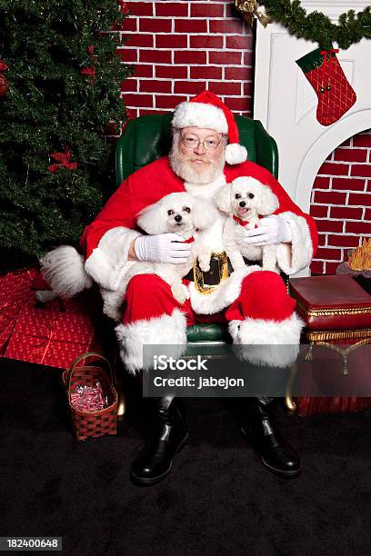 Santa Con Cane - Fotografie stock e altre immagini di Babbo Natale - Babbo Natale, Cane, 60-69 anni