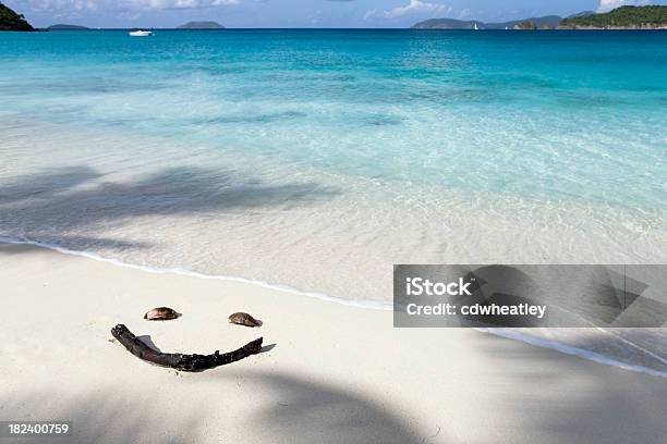 Foto de Cara Feliz Na Praia e mais fotos de stock de Praia - Praia, Rosto humano sorridente, Areia