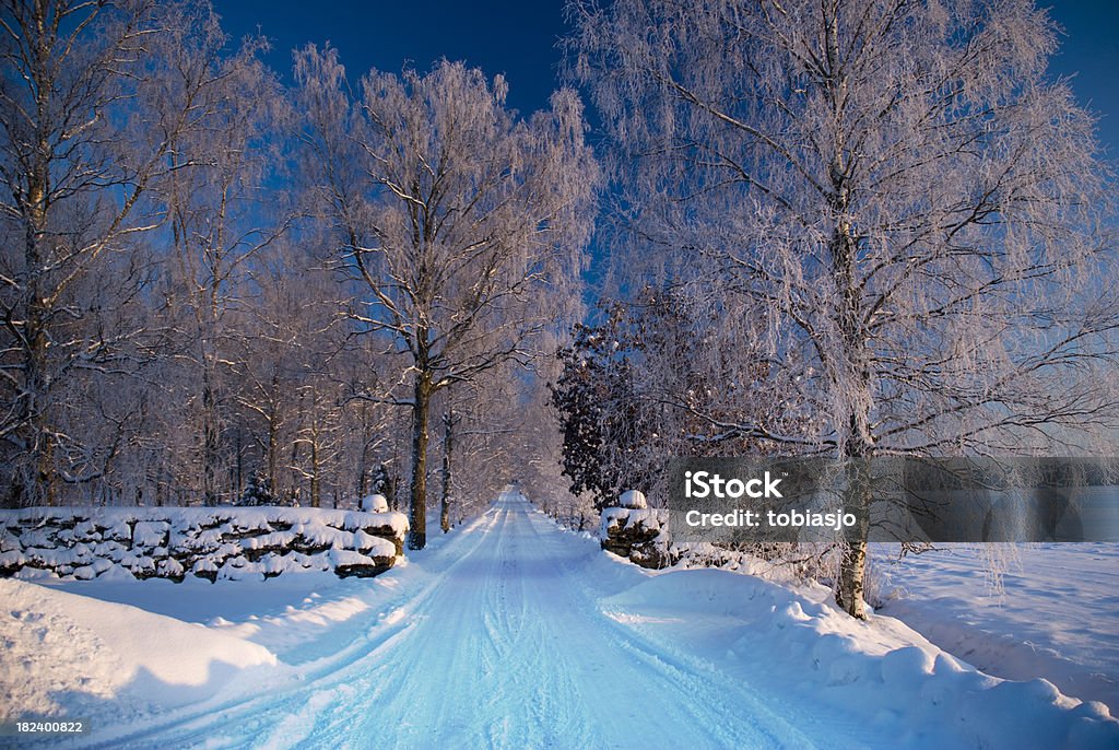 Estrada de inverno - Foto de stock de Aventura royalty-free