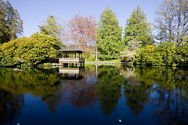 istock Garden Pond with Gazebo 182401452