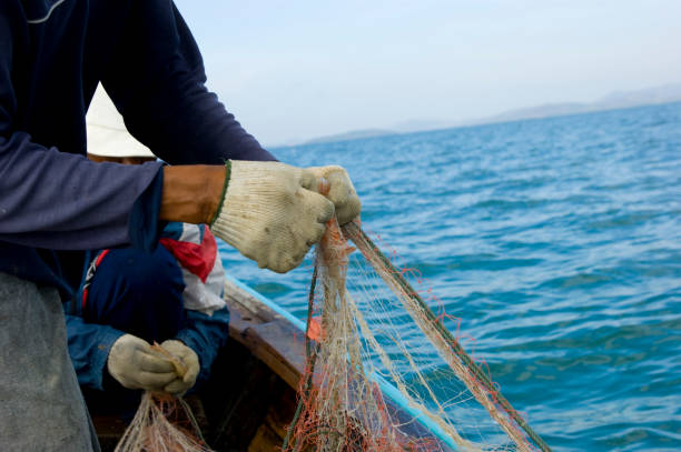 istock shrimp fishing 182401781