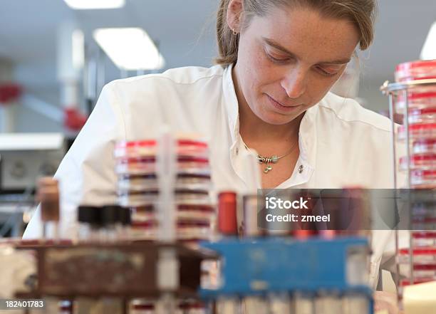 W Laboratorium Mikrobiologii - zdjęcia stockowe i więcej obrazów Badaczka - Badaczka, Dorosły, Fotografika