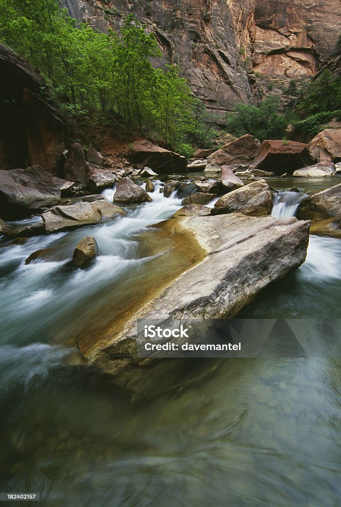 the narrows "the narrows in zion national park,utah." Desert Area Stock Photo