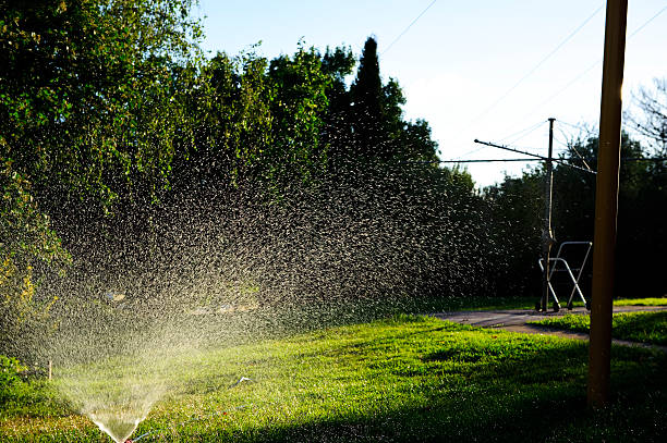 istock Sprinkler watering lawn with water 182403020