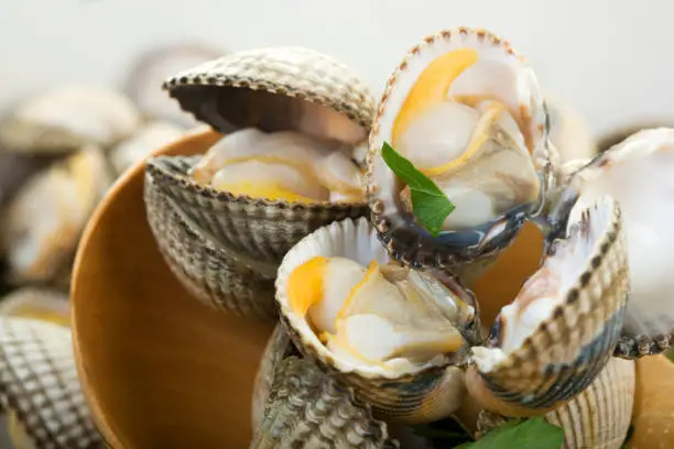 Photo of cockles