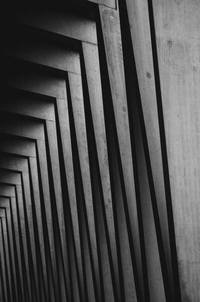 istock Vertical grayscale shot of an array of wooden pillars 1824034817