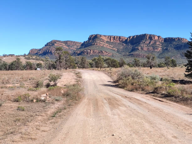 Dirt road at Wilpena Pound, Flinders Ranges, South Australia Dirt road at Wilpena Pound, a natural amphitheatre of mountains located in the heart of the Ikara-Flinders Ranges National Park. The Flinders Ranges are the largest mountain ranges in South Australia. syncline stock pictures, royalty-free photos & images