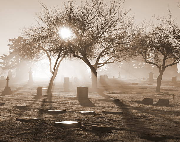 An old cemetery brightened up with sunlight on a misty day.  Captured with Sony DSLR-A900 (full frame).