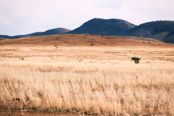 istock Dry landscape in South Australia 1824037555