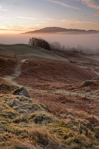 istock Dawn in the English Lake District 182403764