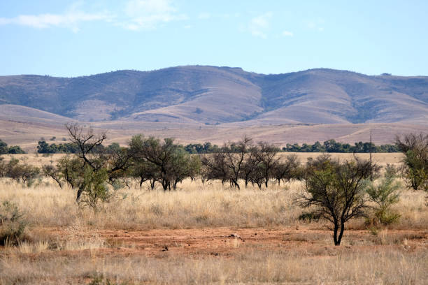istock Dry mountains in South Australia 1824039172