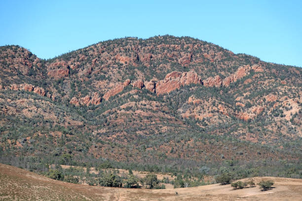 Elder Range, Flinders Ranges, South Australia The Elder ranges, located in the Ikara-Flinders Ranges National Park. The Flinders Ranges are the largest mountain ranges in South Australia. syncline stock pictures, royalty-free photos & images