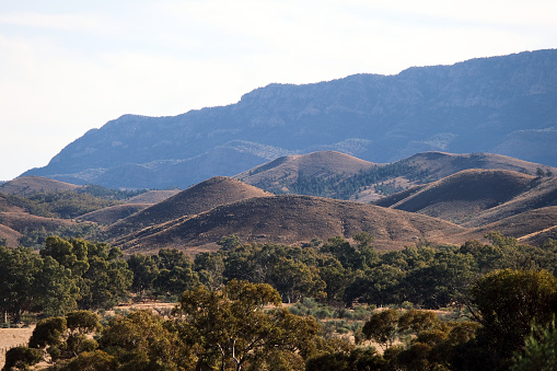 View of the mighty mountains in the Ikara-Flinders Ranges National Park at Arkaba Hill lookout. The Flinders Ranges are the largest mountain ranges in South Australia.