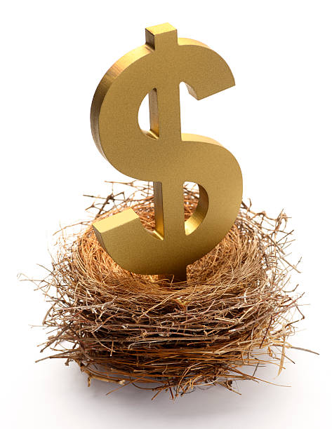 달러표시 앉아 새 둥지 - birds nest animal nest nest egg savings 뉴스 사진 이미지