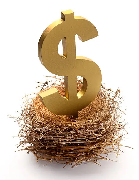 Photo of Dollar sign sitting in a bird's nest