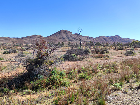 View of the mighty mountains in the Ikara-Flinders Ranges National Park. The Flinders Ranges are the largest mountain ranges in South Australia.