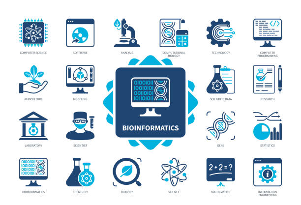 Bioinformatics solid icon set Bioinformatics icon set. Computer Science, Biology, Chemistry, Gene, Statistics, Laboratory, Research, Computer Programming. Duotone color solid icons bioinformatics stock illustrations