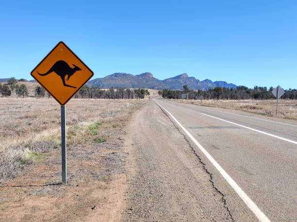 Road to Wilpena Pound, Flinders Ranges, South Australia Kangaroo crossing sign on the road to Wilpena Pound, a natural amphitheatre of mountains located in the heart of the Ikara-Flinders Ranges National Park. The Flinders Ranges are the largest mountain ranges in South Australia. kangaroo crossing sign stock pictures, royalty-free photos & images