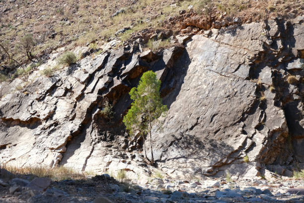 The rocky walls of Parachilna Gorge, a gorge on the western side of the Flinders Ranges in South Australia.
