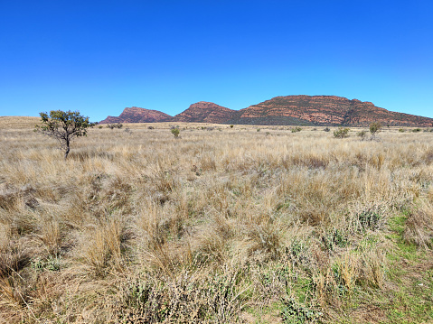 Wilpena Pound, a natural amphitheatre of mountains located in the heart of the Ikara-Flinders Ranges National Park. The Flinders Ranges are the largest mountain ranges in South Australia.