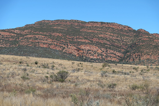Wilpena Pound, a natural amphitheatre of mountains located in the heart of the Ikara-Flinders Ranges National Park. The Flinders Ranges are the largest mountain ranges in South Australia.
