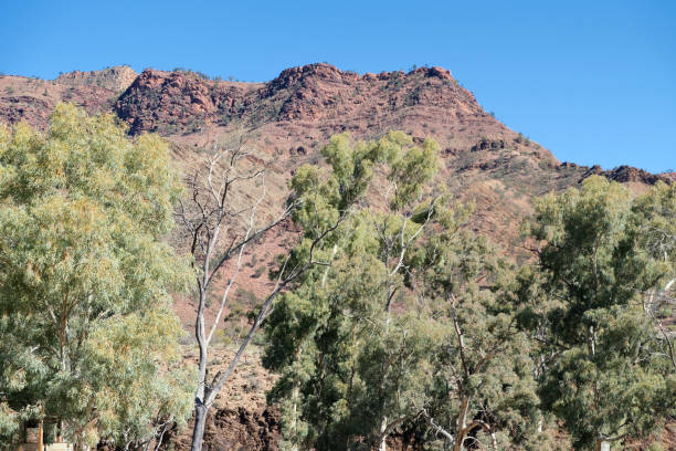 Wilpena Pound, a natural amphitheatre of mountains located in the heart of the Ikara-Flinders Ranges National Park. The Flinders Ranges are the largest mountain ranges in South Australia.