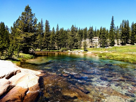 Astonishing, underrated and not that popular part of Yosemite, this highlands offer beautiful forest, mountains with snow, colorful creek with amazing soda springs. Amazing place!!!