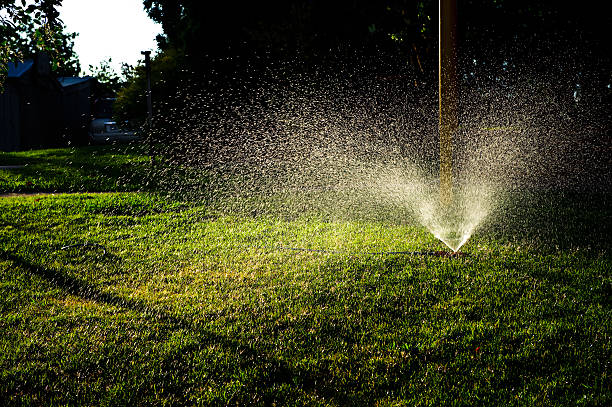 Lawn Sprinkler on freshly lain turf