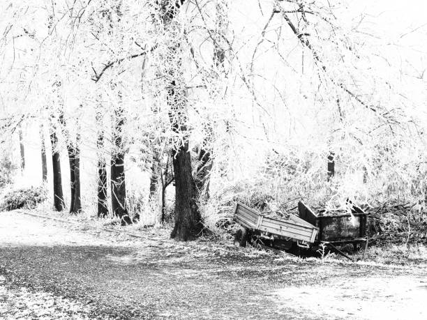 winter scene at the park