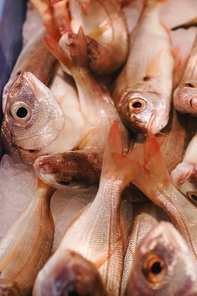 istock Fish in the market, red sea bream 182408795
