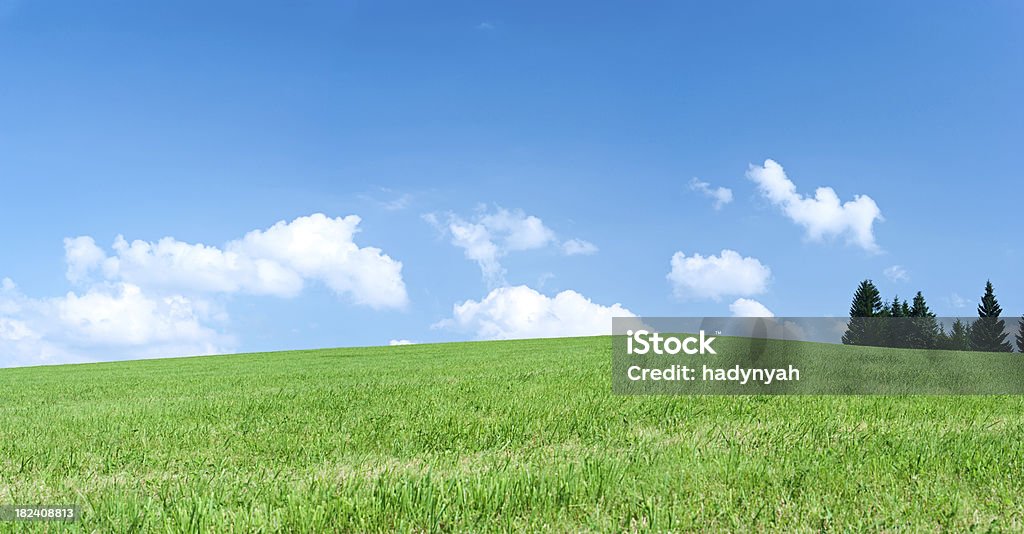 panorama de Primavera - Royalty-free Campo agrícola Foto de stock