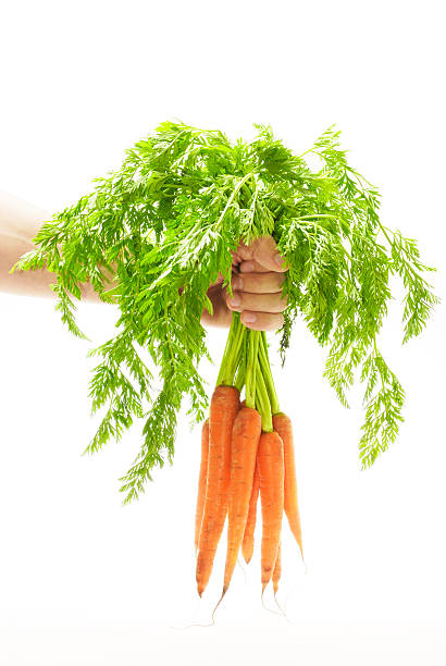 istock bunch of fresh carrots 182408866
