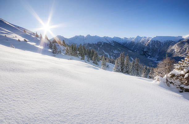 istock Fresh Snow in the Alps 182409209