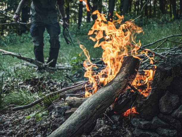 istock Man hands feeding putting logs firewood on a forest campfire, no face, camping 1824094110