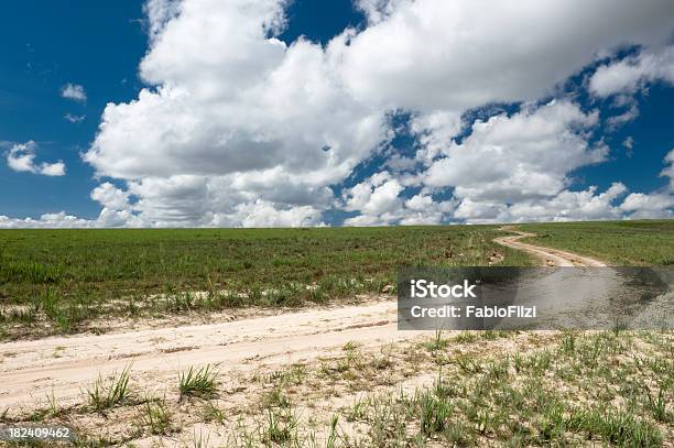 Photo libre de droit de Sandy Road Dans La Grande Savane banque d'images et plus d'images libres de droit de Beauté - Beauté, Beauté de la nature, Blanc