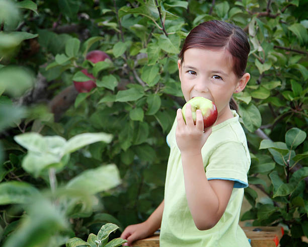 istock Girl in an orchard 182409495