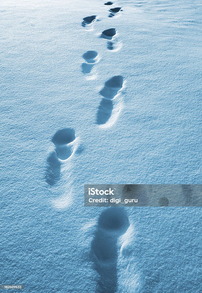 Piedi nel paese delle meraviglie dell'inverno - Foto stock royalty-free di Ambientazione esterna