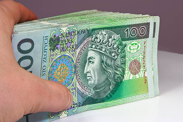 istock Stack of polish money 182409750
