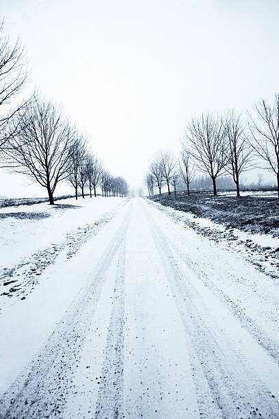 XXL winter country road "country road in winter during snowstorm, vertical frame (XXL)" wintry landscape january december landscape stock pictures, royalty-free photos & images