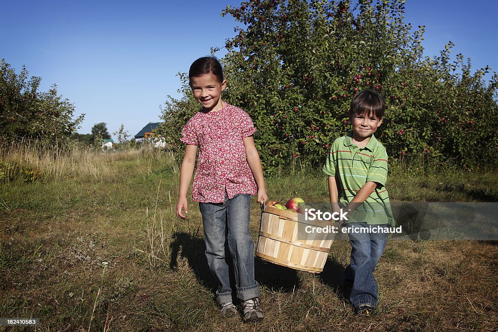 Sorella e fratello in un frutteto - Foto stock royalty-free di Bambino