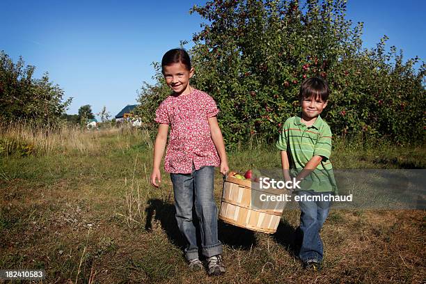 Foto de Irmã E Irmão Na Orchard e mais fotos de stock de Colher - Atividade agrícola - Colher - Atividade agrícola, Criança, Infância