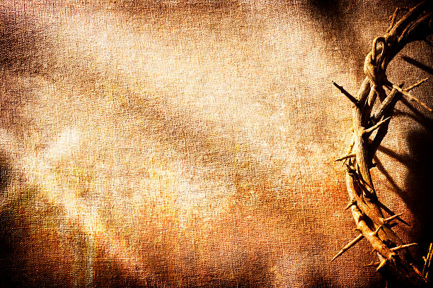 istock Crown of Thorns 182410692