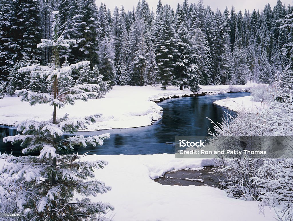 신선한 겨울맞이 snows 실은 파인에서 나무와 강 - 로열티 프리 오리건-미국 주 스톡 사진