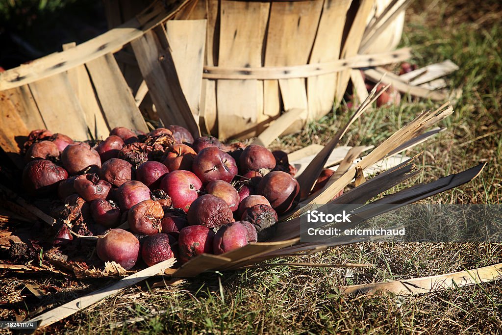 Old Maçãs - Royalty-free Agricultura Foto de stock