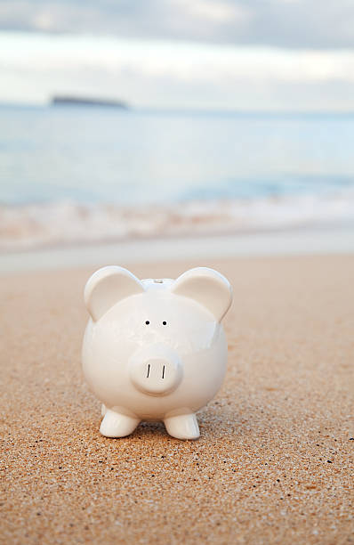 istock Piggy Bank On the Beach 182412830
