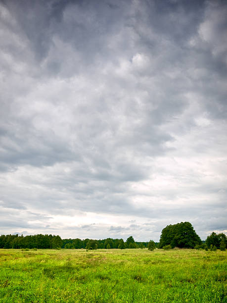 deszczowy dzień - overcast zdjęcia i obrazy z banku zdjęć