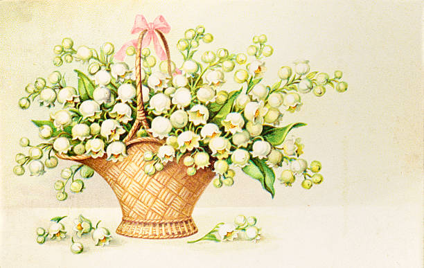 Vintage Postcard Flowers