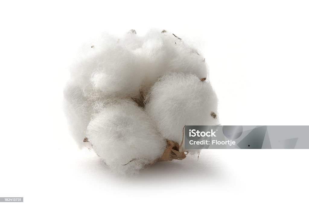 Fleurs: En coton - Photo de Coton hydrophile libre de droits