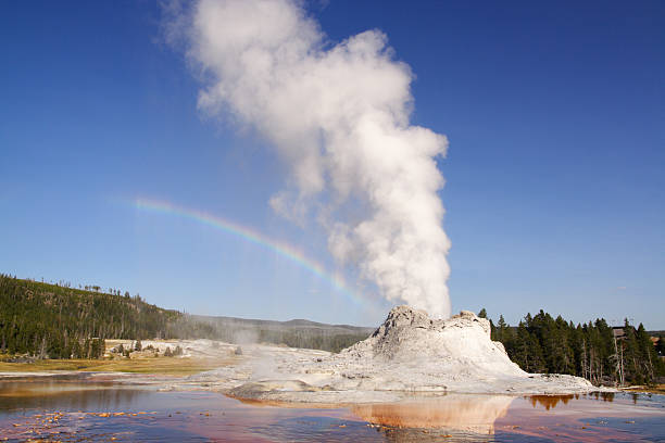 White water erupts from Old Faithful geyser at Yellowstone National Park against a bright blue sky on a sunny summer day